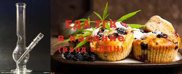 амф Верхний Тагил
