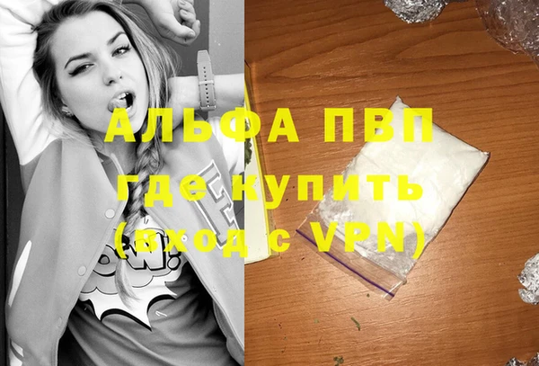 амф Верхний Тагил