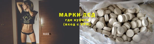 амф Верхний Тагил