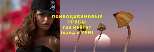 амф Верхний Тагил