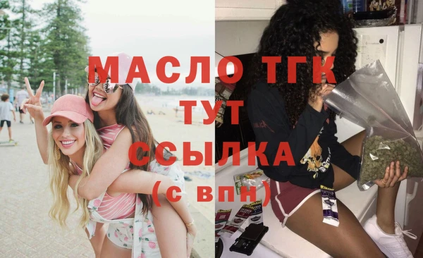 амф Верхний Тагил