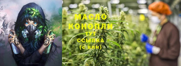 амф Верхний Тагил