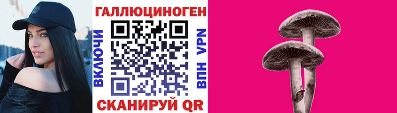 Псилоцибиновые грибы GOLDEN TEACHER  Петушки 